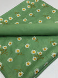 2PC LAWN